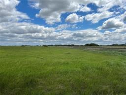 49110 133w Road, Griswold, MB R0M1P0 Photo 6