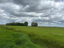 49110 133w Road, Griswold, MB R0M1P0 Photo 7