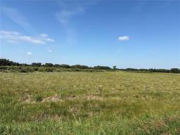 49110 133w Road, Griswold, MB R0M1P0 Photo 10