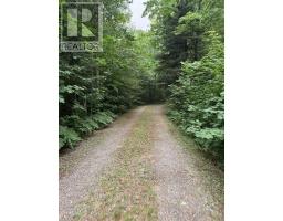 231 Island View Dr, Huron Shores, ON P0R1L0 Photo 29