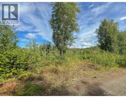 2 5115 Swannell Drive, Hazelton, BC V0J1Y1 Photo 13