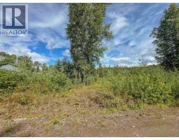 2 5115 Swannell Drive, Hazelton, BC V0J1Y1 Photo 12