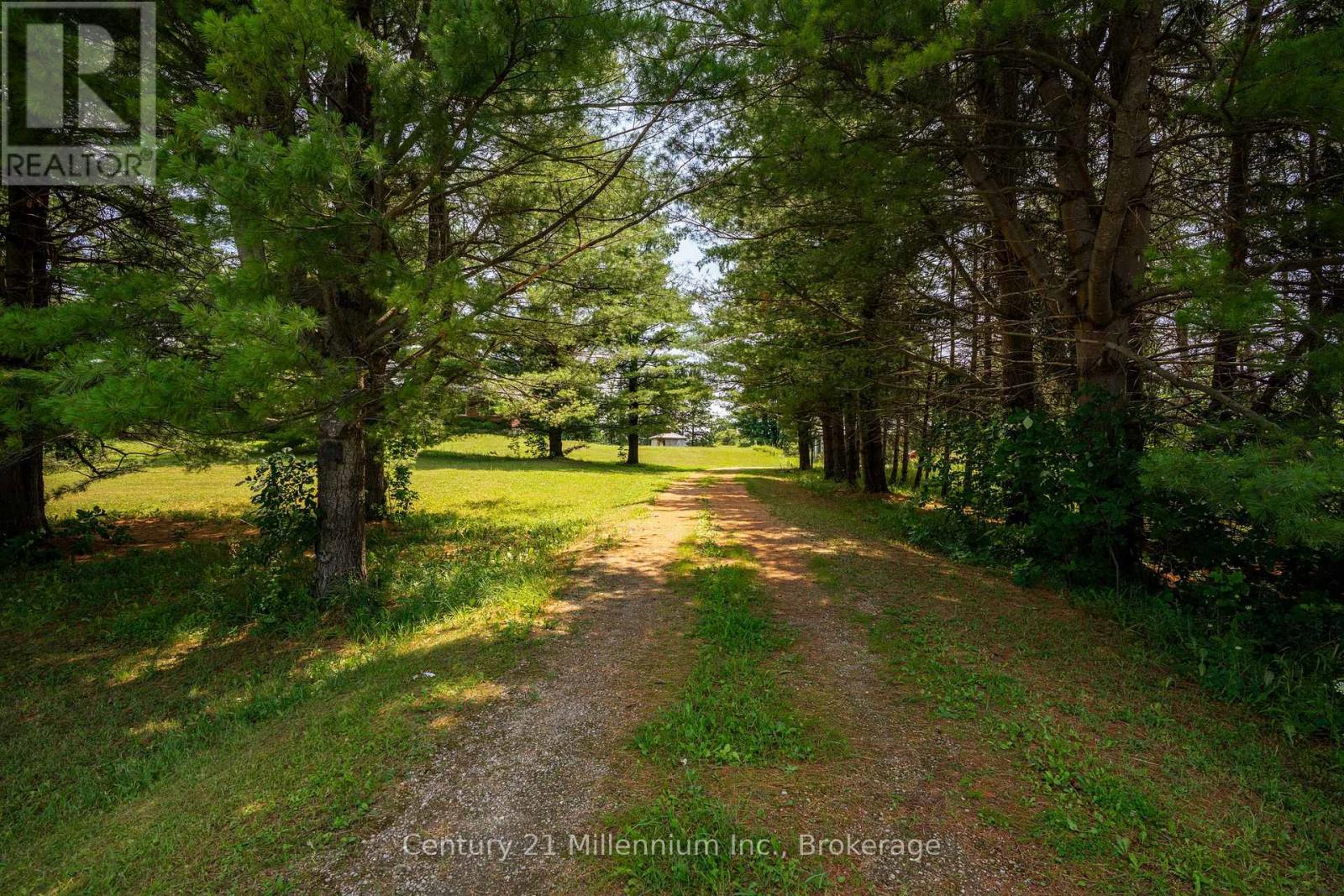 102768 GREY RD 18 ROAD - Image 7