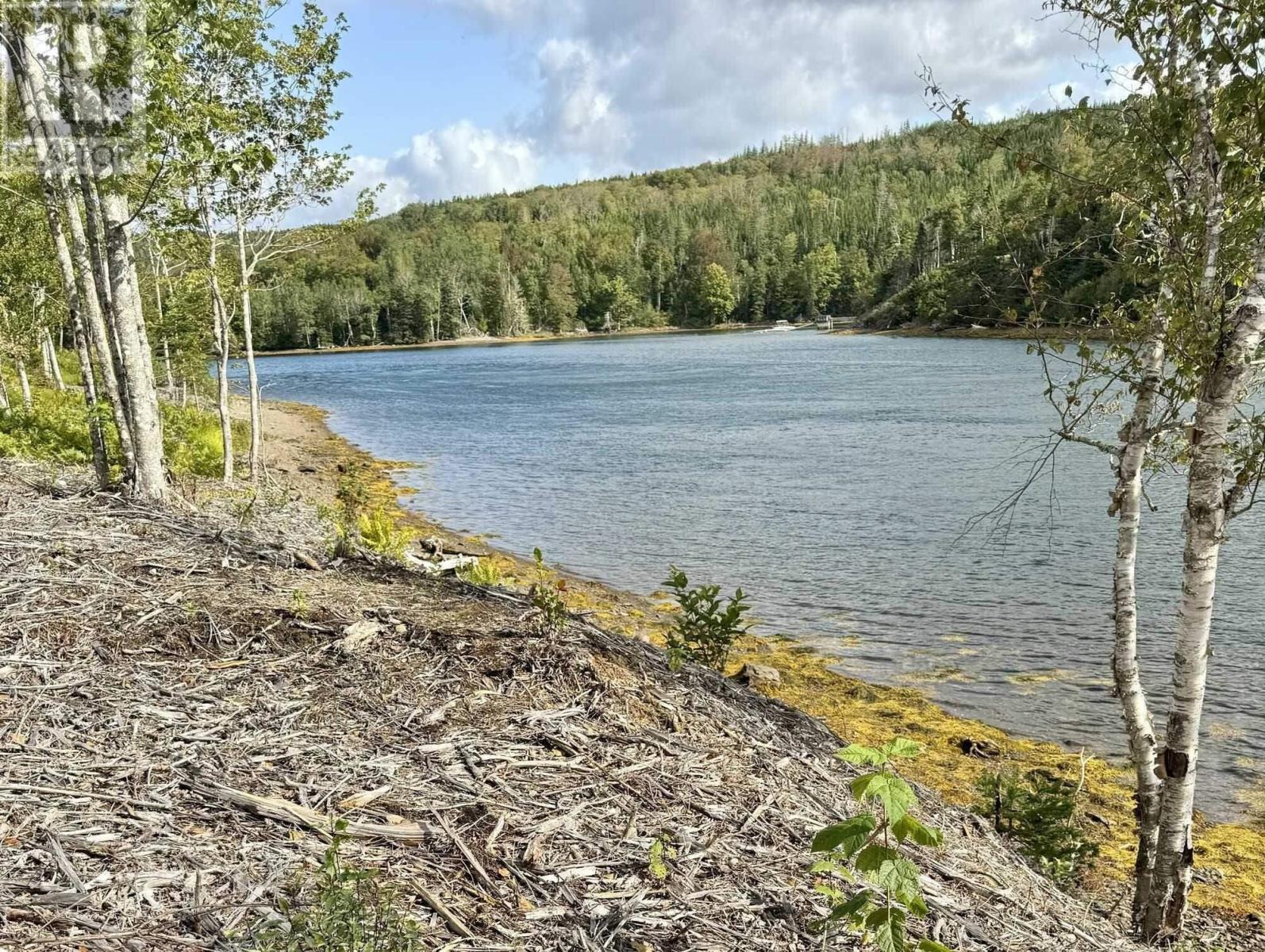Property 3 of 10 of Lot 2-1 Antigonish Guysborough Road
