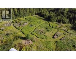 186 Allen Road, Hazelton, BC V0J2J1 Photo 31