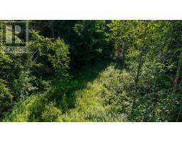 7632 County 9 Road, Clearview, ON L0M1G0 Photo 50
