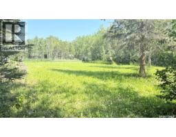 Lot 5 David Street, Big River Rm No  555, SK S0J0E0 Photo 6