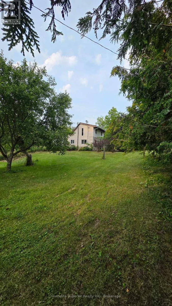 2632 DUMMER ASPHODEL ROAD - 22