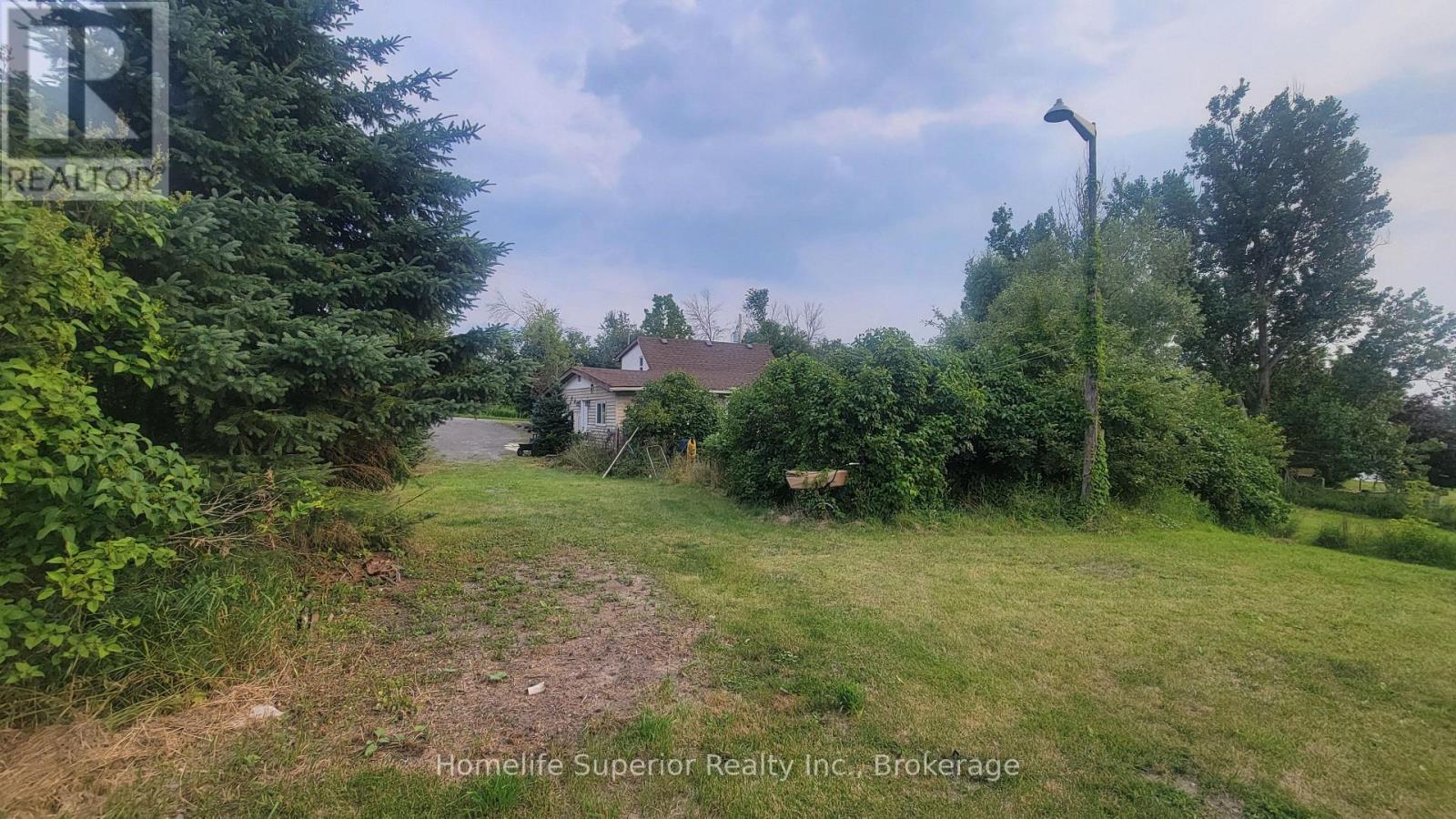 2632 DUMMER ASPHODEL ROAD - 21