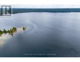 191 Long Point Road, Huntsville, ON P0B1M0 Photo 27