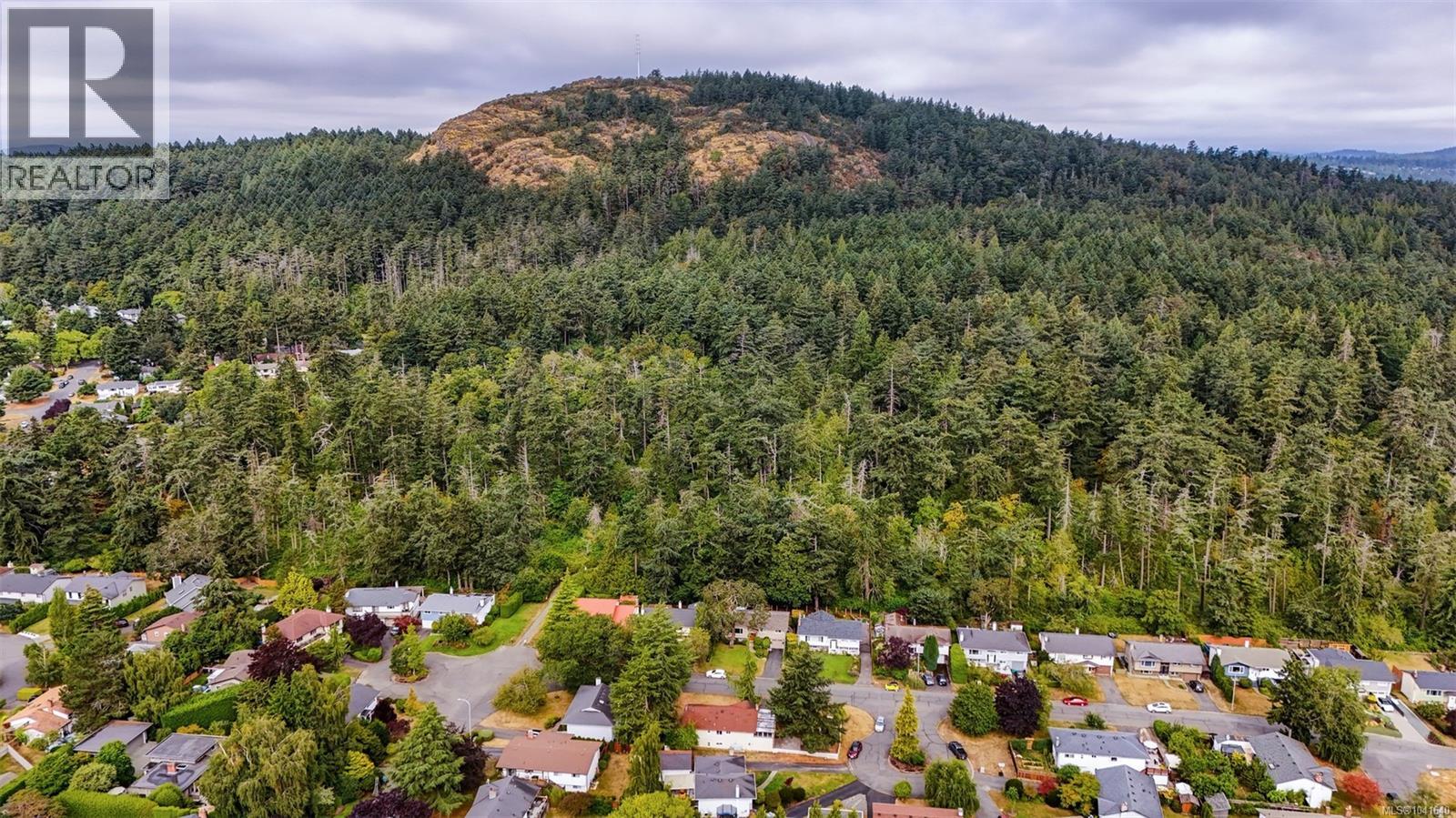 1534 Edgemont Rd - 28