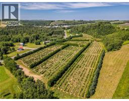 54 Sutherland Brook Road, photo 4