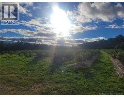 54 Sutherland Brook Road, Dsl De Drummond/dsl Of Drummond, NB E3Y2L6 Photo 13