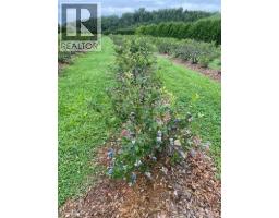 54 Sutherland Brook Road, Dsl De Drummond/dsl Of Drummond, NB E3Y2L6 Photo 18