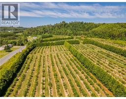 54 Sutherland Brook Road, Dsl De Drummond/dsl Of Drummond, NB E3Y2L6 Photo 11