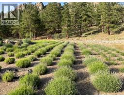 21825 Garnet Valley Road, Summerland, BC V0H1Z3 Photo 10