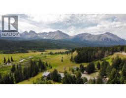8, 5302 19 Avenue, Coleman, AB T0K0M0 Photo 7