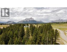 8, 5302 19 Avenue, Coleman, AB T0K0M0 Photo 9