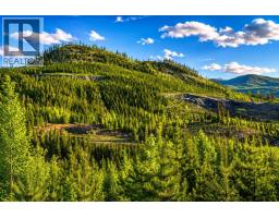 Dl 3456 Forestry Road, Quesnel, BC V2J3J9 Photo 6