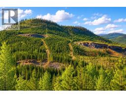 Dl 3456 Forestry Road, Quesnel, BC V2J3J9 Photo 7