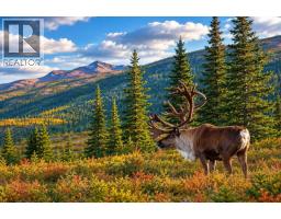 Dl 3456 Forestry Road, Quesnel, BC V2J3J9 Photo 8