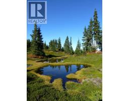 Dl 3456 Forestry Road, Quesnel, BC V2J3J9 Photo 9