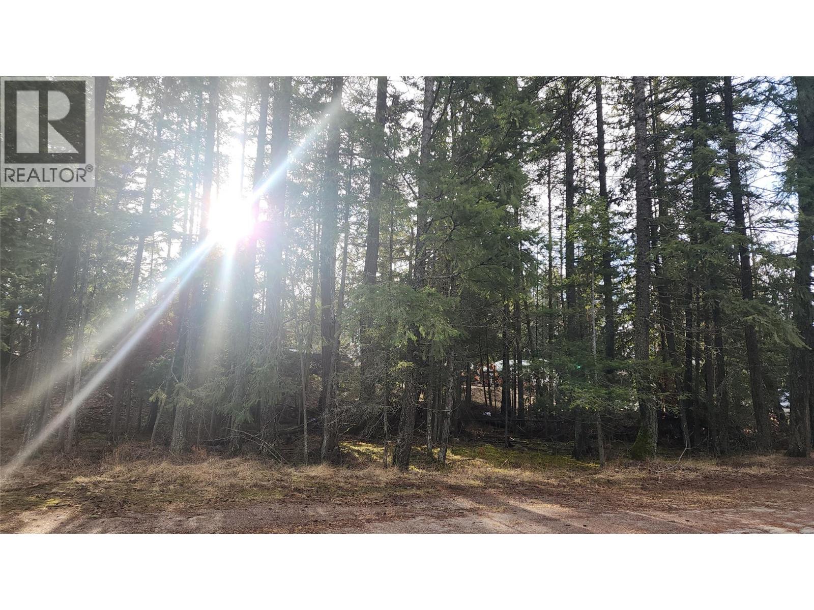 938 23 Highway, Nakusp
