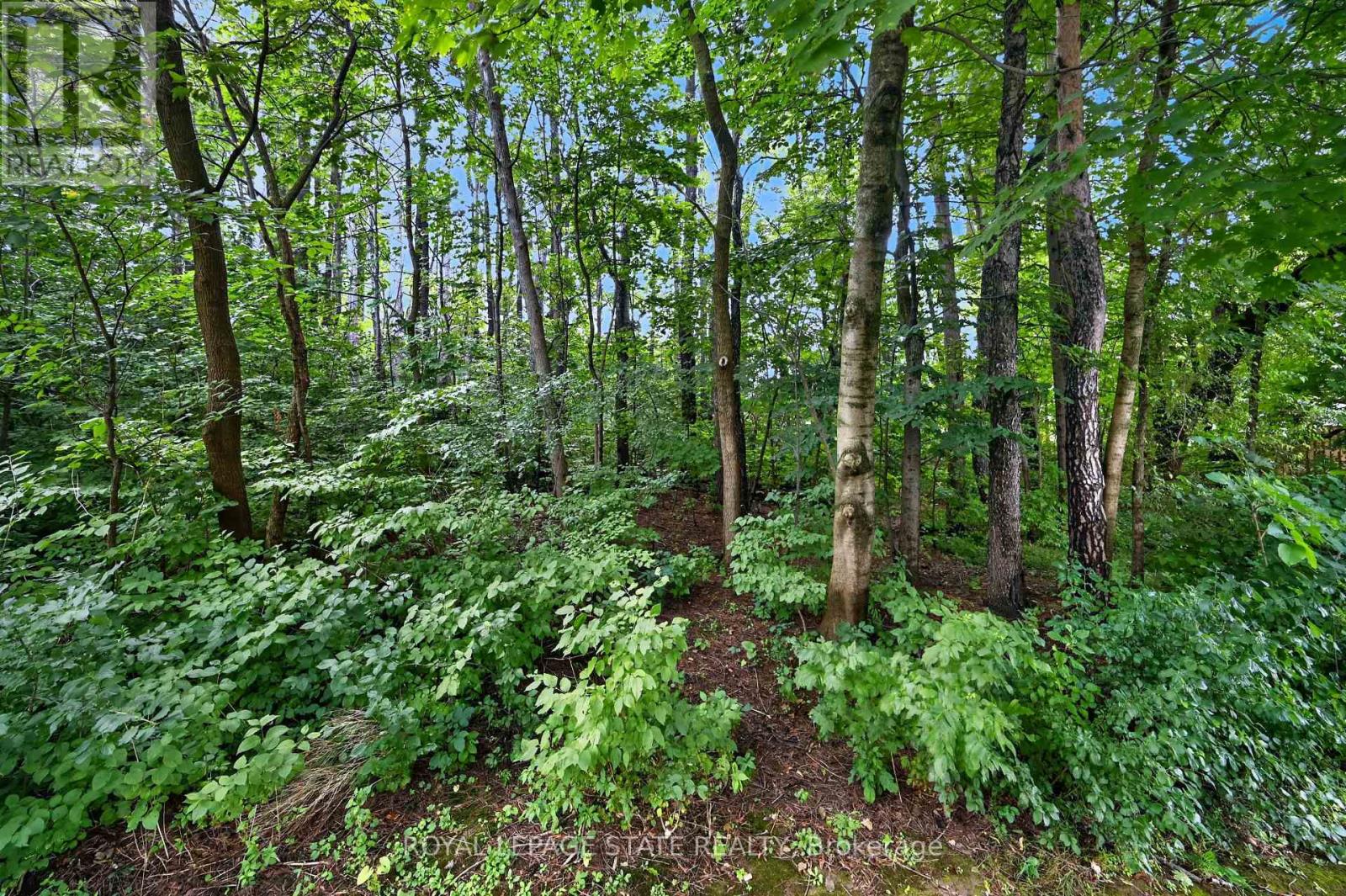 #11 151 MCNIVEN ROAD - 45