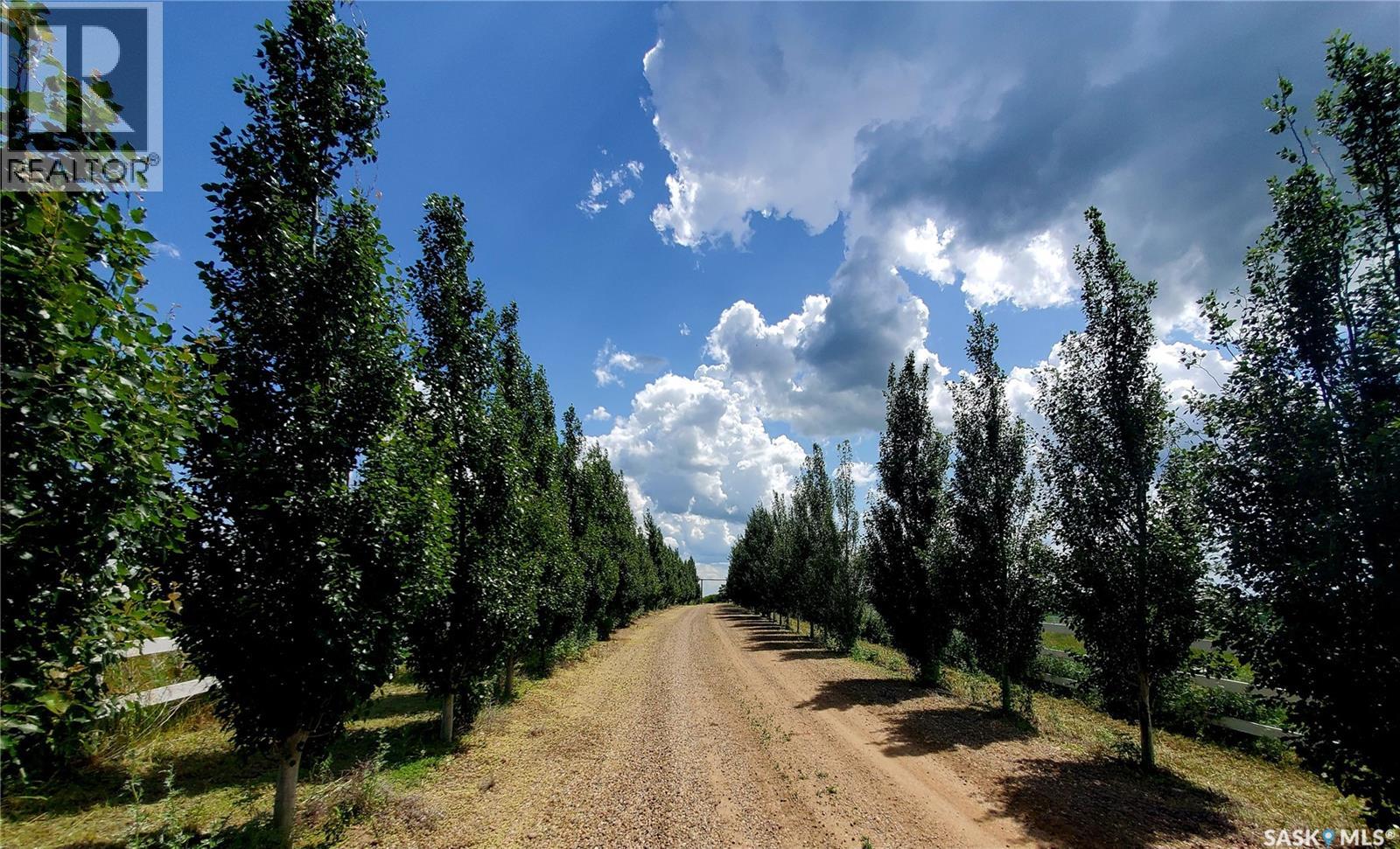 Neville Acreage, Neville — photo 3