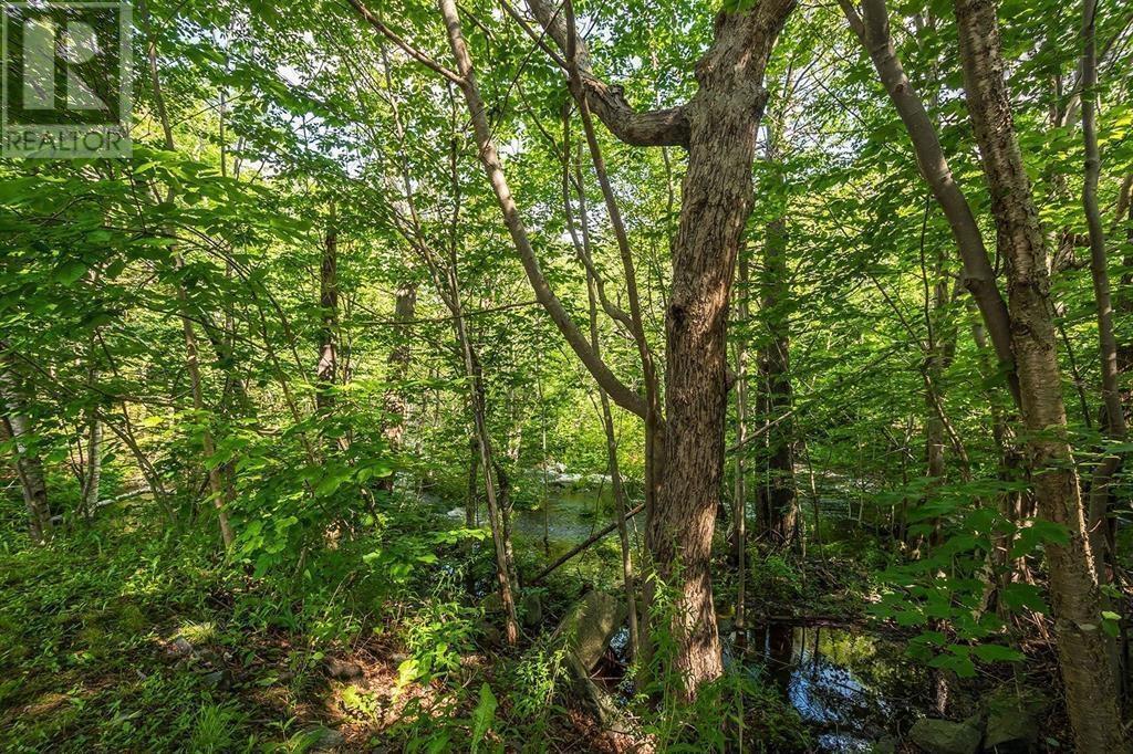 #1 41 Moirs Mill Road - 23