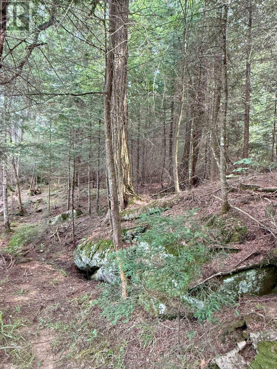 50 CACHE LAKE APL1322 - 24