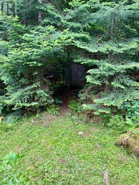 50 CACHE LAKE APL1322 - 50