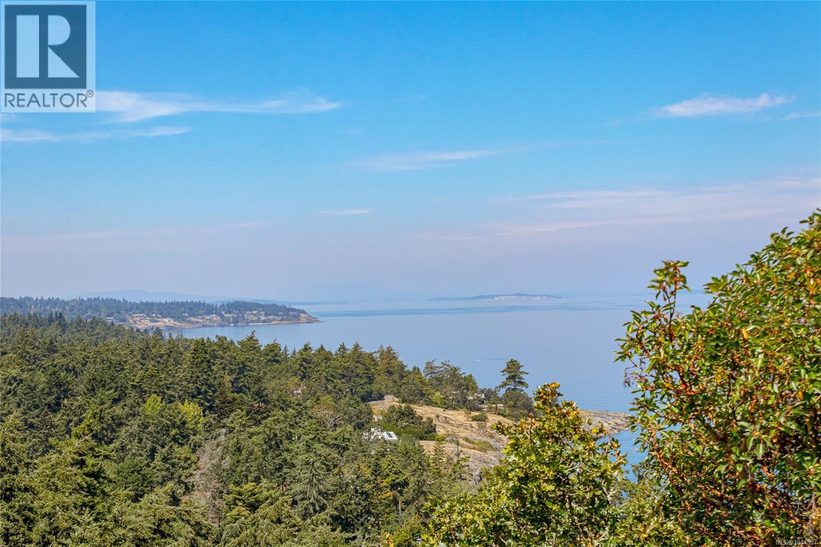 #607 2829 Arbutus Rd - 47