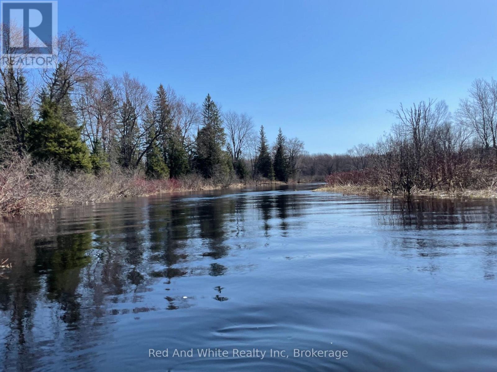 136B MAPLE ISLAND ROAD, Whitestone (Ferrie) — photo 2