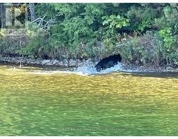 136b Maple Island Road, Whitestone, ON P0A1G0 Photo 7