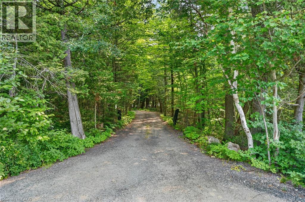 1331 HIGH ROCK Drive - Image 46