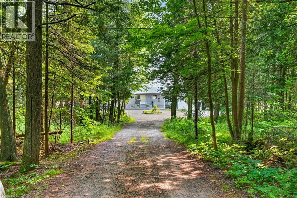 1331 HIGH ROCK Drive - Image 47