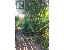97 Livingstone Avenue, Toronto, ON M6E2L7 Photo 21