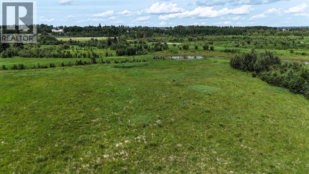 53126 RGE RD 174 - Image 14