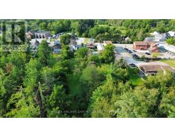 257 Pefferlaw Road, Georgina, ON L0E1N0 Photo 9