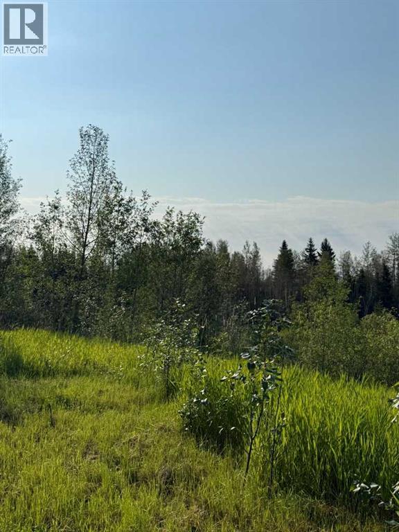 47315 Hwy 22 - Image 30