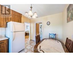 53 Foxrun Avenue, Toronto, ON M3L1L9 Photo 16