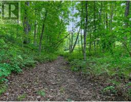 1064 Omagaki Road N, Minden Hills, ON K0M2K0 Photo 42