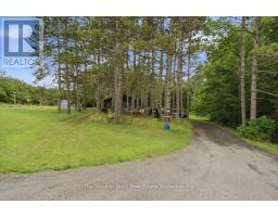 11536 62 Highway, Centre Hastings, ON K0K2K0 Photo 29