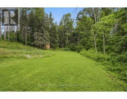 11536 62 Highway, Centre Hastings, ON K0K2K0 Photo 34