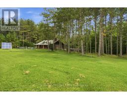 11536 62 Highway, Centre Hastings, ON K0K2K0 Photo 38