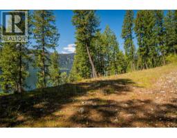 1423 Purcell Lane, Johnsons Landing, BC V0G1A0 Photo 20