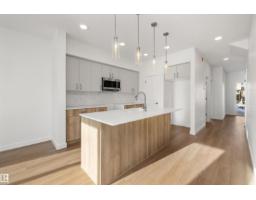 Bonus Room - 18855 29 Av Nw, Edmonton, AB T6M3C5 Photo 8
