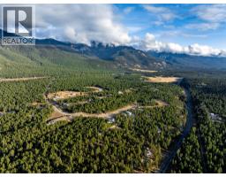 Lot 31 Elkhorn Close, Windermere, BC V0B2L2 Photo 8