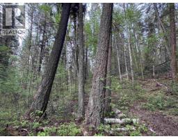 550 Dog Creek Road, Williams Lake, BC V2G3P9 Photo 9